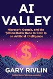 AI Valley: Microsoft, Google, and the Trillion-Dollar Race to Cash In on Artificial Intelligence (English Edition)