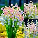 Maiglöckchen zwiebeln,Winterhart Mehrjährig blumenzwiebeln,dekorative Blumen,maiglöckchen rosa,maiglöckchen,maiglöckchen pflanzen kaufen,Hausgarten,maiglöckchen deko.-5 zwiebeln-C