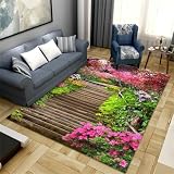 RUGMRZ Teppich 100x160cm Teppich Für Esszimmer Wohnzimmerbereich Teppich superweiche Schlafzimmermatte waschbar rutschfest Teppich Küche Esszimmertepp