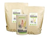gesundo BIO Lupinenmehl - Lupinenprotein der weißen Süß-Lupine - 2,5kg B