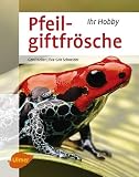 Pfeilgiftfrö