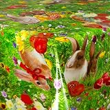 Wachstuch Wachstischdecke Tischdecke Ostertischdecke Farbe und Größe wählbar Ostern Grün Eckig 110 x 140 cm abwaschbar O