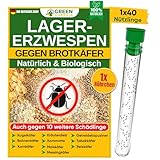GREEN GUARDIA Lagererzwespen gegen Brotkäfer - 1 Röhrchen à 40 Nützlinge - effektiv Kornkäfer, Messingkäfer, Speckkäfer uvm. bekämpfen. Alternative zu Brotkäfer Falle und Kornkäfer F