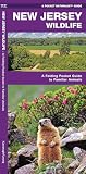 New Jersey Wildlife: A Folding Pocket Guide to Familiar Species: A Folding Pocket Guide to Familiar Animals (Pocket Naturalist Guide)
