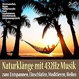 Naturklänge mit 432Hz Musik zum Entspannen, Einschlafen, Meditieren, Heilen: Meeresrauschen, Regen, Waldgeräusche, Bach, Vogelstimmen, Einschlafmusik, Entspannungsmusik