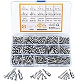 HAOCHEN 405 Stück Rundkopfschrauben Set, M3/M3.5/M4, Torx Holzbauschrauben, Edelstahl Blechschrauben, Flachkopfschrauben, selbstschneidende Schraube Sortiment Kit, mit 3 Stück B