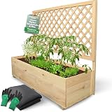 holz4home® Pflanzkasten mit Rankgitter XL aus Kiefernholz I 44x128x104 cm I inkl. Gartenhandschuhe & Vlies I Pflanzkübel mit Spalier I Hochbeet für Balkon als Sichtschutz I Blumenk
