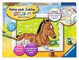 Ravensburger CreArt 29687 - Kleines Fohlen - Malen nach Zahlen Pferd für Kinder ab 7 J