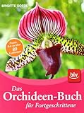 Das Orchideen-Buch für Fortg
