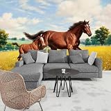 Himmel Prärie Tier Pferd 3D Tapete Tapeten Büro Wohnzimmer Sofa Schlafzimmer TV Hintergrund Wand Dekoration-300cm×210