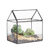 NCYP 15,5x11x16 cm Kleines Geometrisches Terrarium, Haus-Form, Glas, schließbar, Gewächshäuschen für Sukkulenten Moos Farn, mit Klappdeckel (ohne Pflanzen)