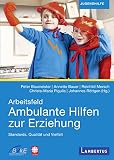 Arbeitsfeld Ambulante Hilfen der Erziehung: Standards, Qualität und V