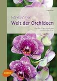 Fabelhafte Welt der Orchideen: Alles über Pflege, Vermehrung und die b