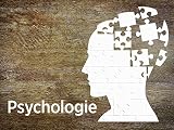 Psychologie: Einführung in die Alltagspsycholog