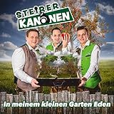In der Steiermark gehn die U