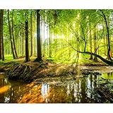 decomonkey Fototapete selbstklebend Wald 3D 343x256 cm XXL Selbstklebende Tapeten Wand Fototapeten Tapete Wandtapete klebend Klebefolie Natur Landschaft B