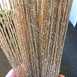 Vagasi 2 Stücke Türvorhang Hochzeit Fadengardine Fadenvorhang 100 x 200 cm Bead Fadenvorhang einfarbig Perle Glitzer schön für Schlafzimmer Restaurant Fotografie Hintergrund, Champag