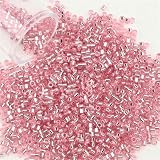 Glasperlen, kleine Rocailles-Perlen, 2000 Stück, 1,6 mm, zylindrische Glasperlen zum Basteln von Schmuck, Rocailles-Perlen-PZ3108-1,6 mm, 2000 Stück